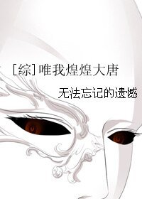 （综同人）唯我煌煌大唐
