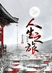 （综同人）[综]人生旅途