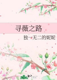 《寻薇之路》