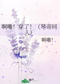 《啊嘞!穿了!(琴帝同人)》