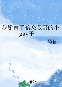 《我掰直了暗戀我哥的小gay子》